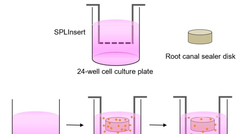 An Insight Into Their Cytotoxicity And Genotoxicity