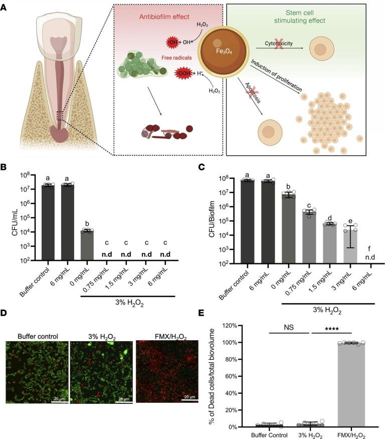 Nanoparticles Offer Improved Treatment For Infection From Radical Channel Infection